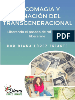 Dosier Apuntes Del Transgeneracional Diana López Iriarte