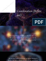 Coordination (Reflex Arc)