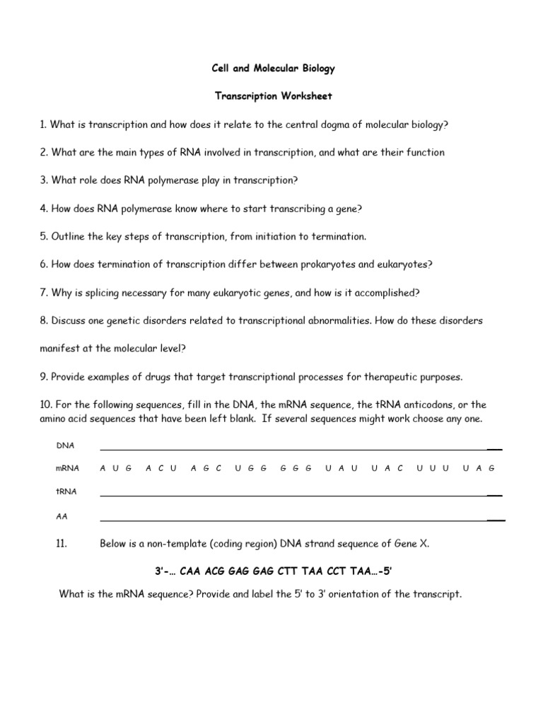 Transcription Worksheet | PDF | Teaching Methods & Materials | Science ...