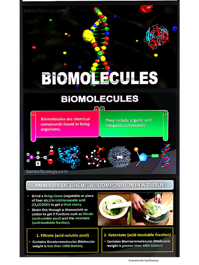Biomolecules 1 PDF