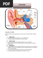anatomie-de-la-sph-re-orl-pdf-oreille-syst-me-vestibulaire