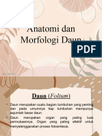 Anatomi Dan Morfologi Daun 2021