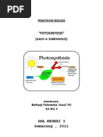 Download Laporan Percobaan Sachs Dan Ingenhouz by fahmeiza SN68069265 doc pdf