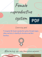 Class 1 Female Reproductive System