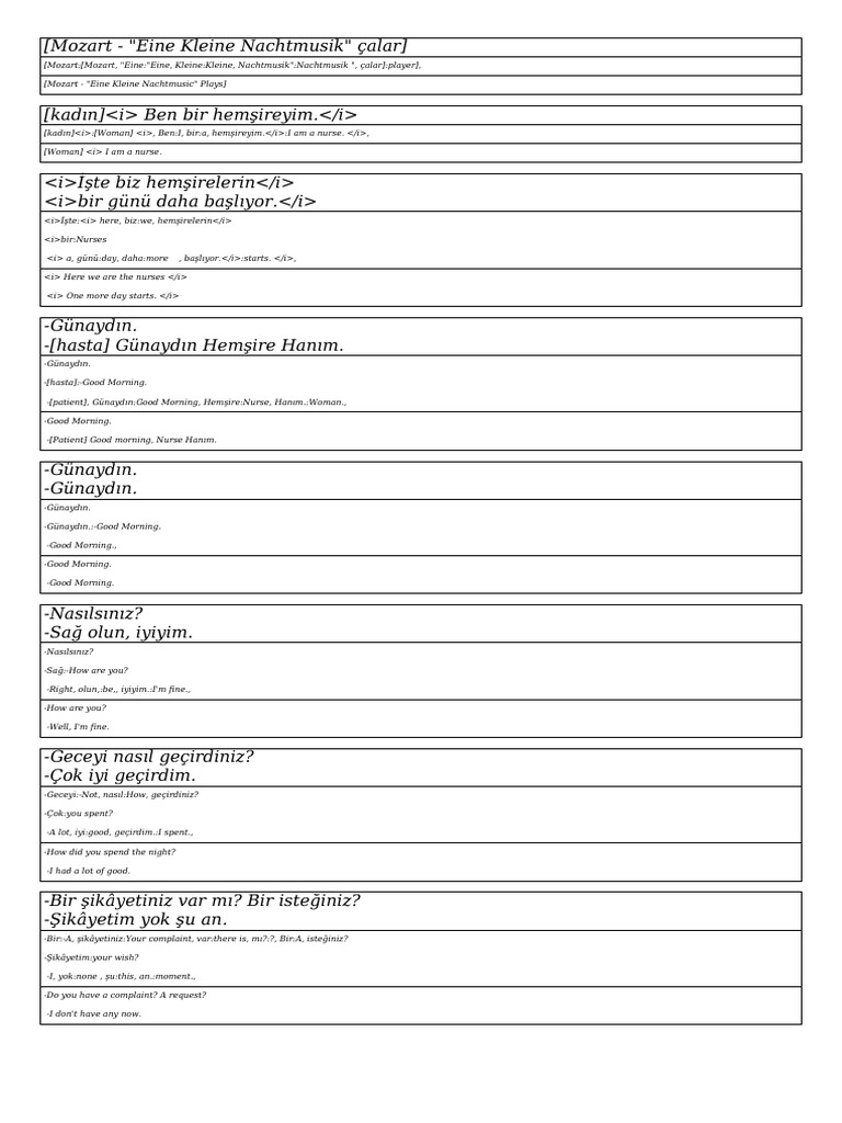 Cici Turkish Movie With English Word Meanings PDF