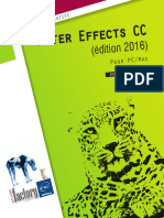 Document de After Effect