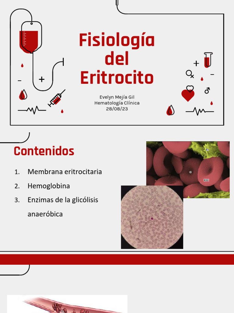 Fisiología del Eritrocito y Hemoglobina | PDF | Membrana celular ...