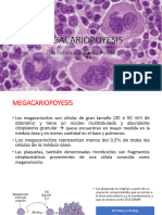 Clase 6. Megacariopoyesis y Fisiología Plaquetaria