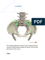 Anatomia Trabajo