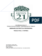 Entrega Final TP 2. Seminario de Practica Profesional. UNIVERSIDAD SIGLO 21