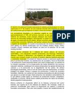 1.2 Potencial Forestal en Mexico