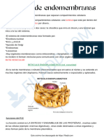 Sistema de Endomembranas 2