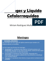 Meninges y Líquido Cefalorraquídeo (LCR)