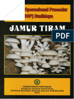 Budidaya Jamur Tiram