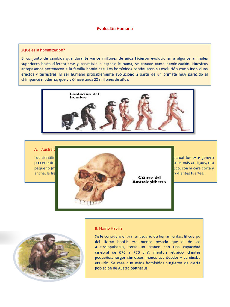 Evolución del Hombre y Hominización | PDF | Homo | Evolución humana