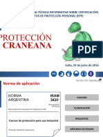 Iram Proteccion Craneana - Ing Miguel Caro