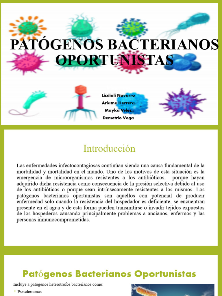 Patógenos Bacterianos Oportunistas | PDF | Patógeno | Las bacterias