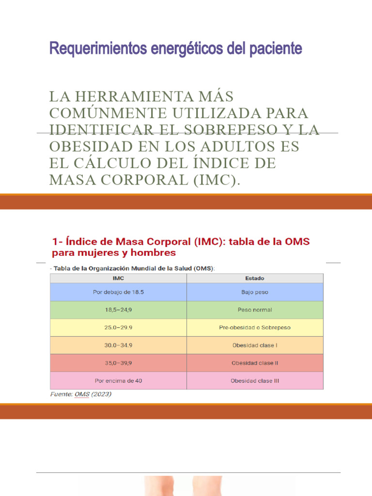 Requerimientos Energéticos y Cálculos Nutricionales | PDF | Obesidad