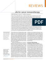 NK Cells For Immunotherapy