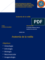 Anatomia de La Rodilla