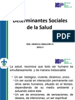 Tema 3 Determinantes de La Salud Sipes V 2023