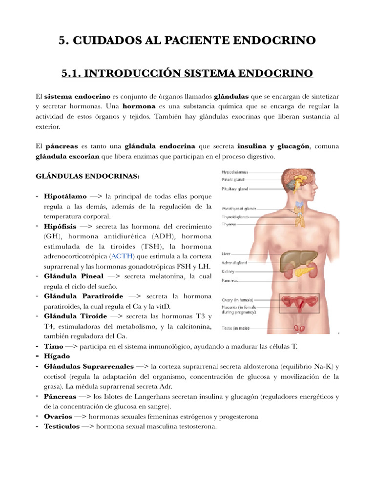 Endocrinólogo explicando a un paciente sobre su tratamiento