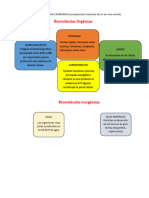 Moléculas Orgánicas y Moléculas Inorgánicas Enviar