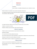 Resumen Dermatología