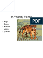 M Yogaraj