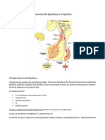 4 Trastornos de La Hipófisis