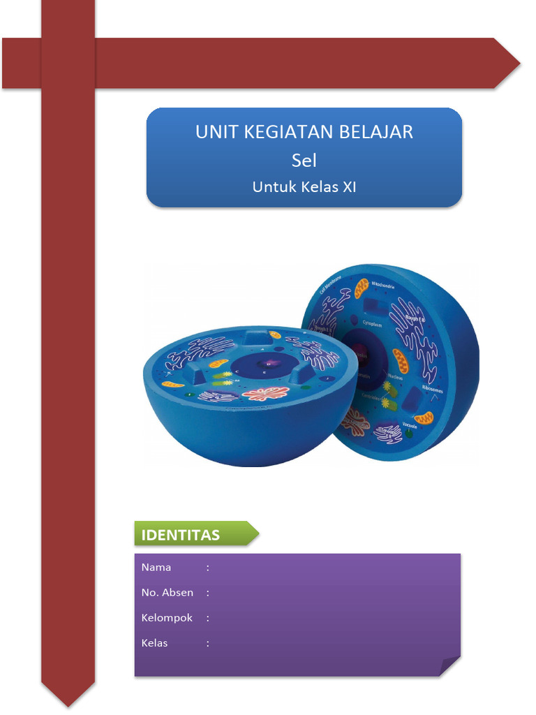 Komponen Kimia Penyusun Sel | PDF