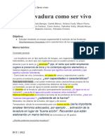 NP Eci Tarea 2 N. Carranza G. Banega M. Flores Y. Ferreira Y. Cardozo V. Costa W. Mun