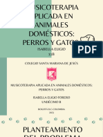 Musicoterpia en Animales