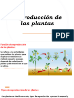 Reproducción de Las Plantas