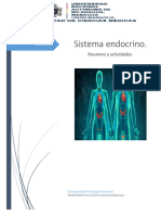 Guia Sistema Endocrino