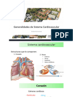 Generalidades Angio Respi Digestivo y Neuro