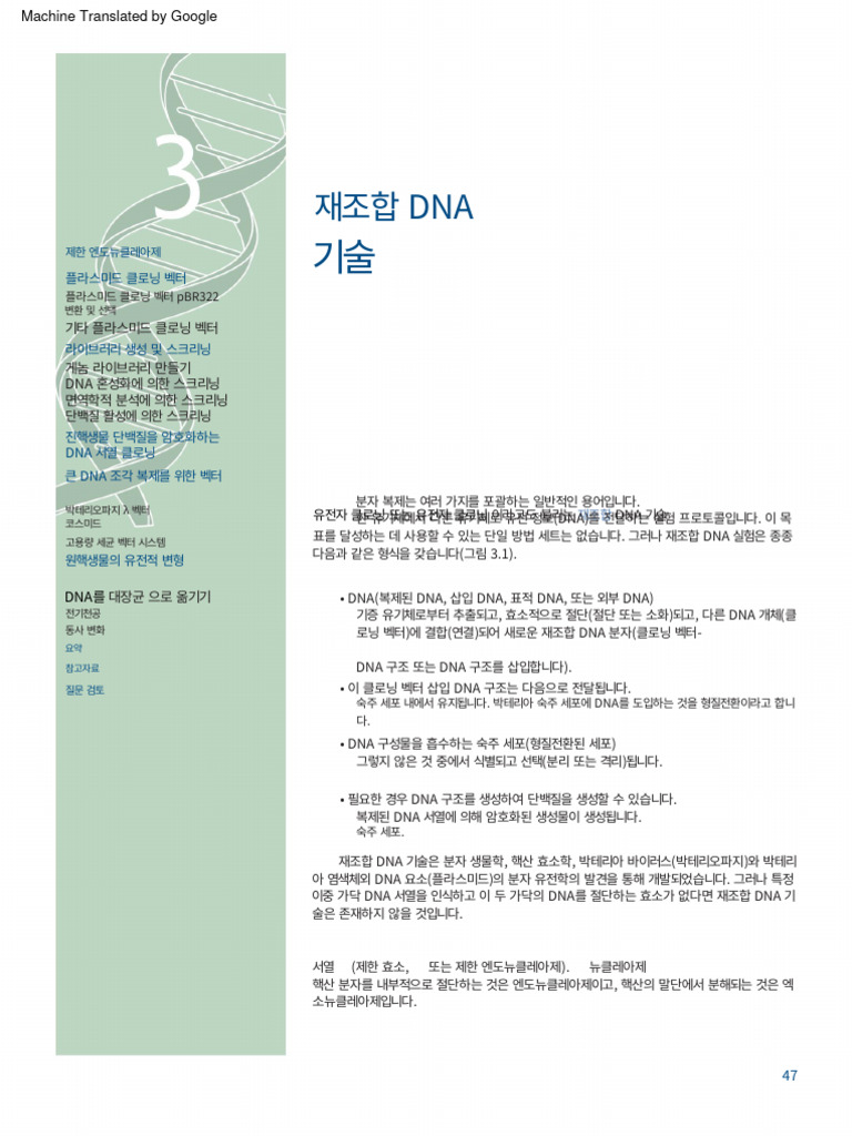 중요) 사이클로옥시지네이즈(Cyclooxygenase) : 네이버 블로그, image size:768x1024