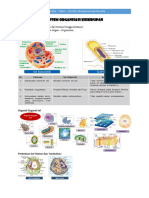 PSB-KELAS 7-IPA BIO-Sistem Organisasi Kehidupan