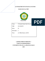 Ni Kadek Padmi Diah Niswary Dewi - 021.06.0072 - Laporan Praktikum Patologi Anatomi - Blok Mata & THT