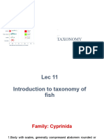 Lec 11 Taxonomy