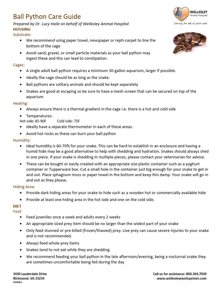 Ball Python Care Guide | PDF | Snake