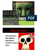 Anatomie2an Massif Facial ١