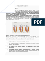 Lectura Ligamneto