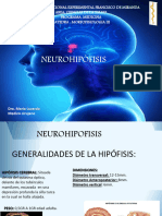 NEUROHIPOFISIS