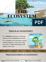 The Ecosystem 5