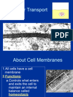 Cell Transport Notes