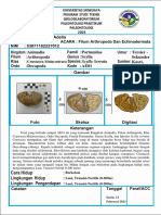 AE01 Arthropodapdf