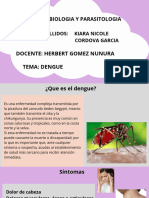 Dengue PDF