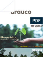 Productos Arauco