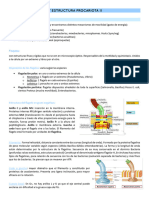 Tema 3 - Procariotas Ii